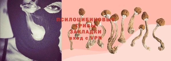 твердый Волоколамск