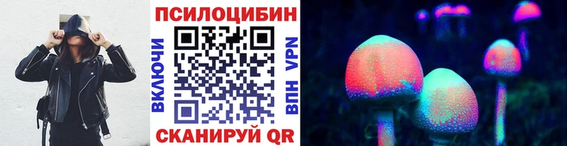 Псилоцибиновые грибы Cubensis  omg   Ижевск 